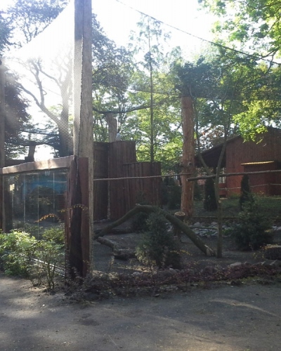 Ogród Zoobotaniczny - Okładka galerii Ogród Zoobotaniczny - Okładka galerii